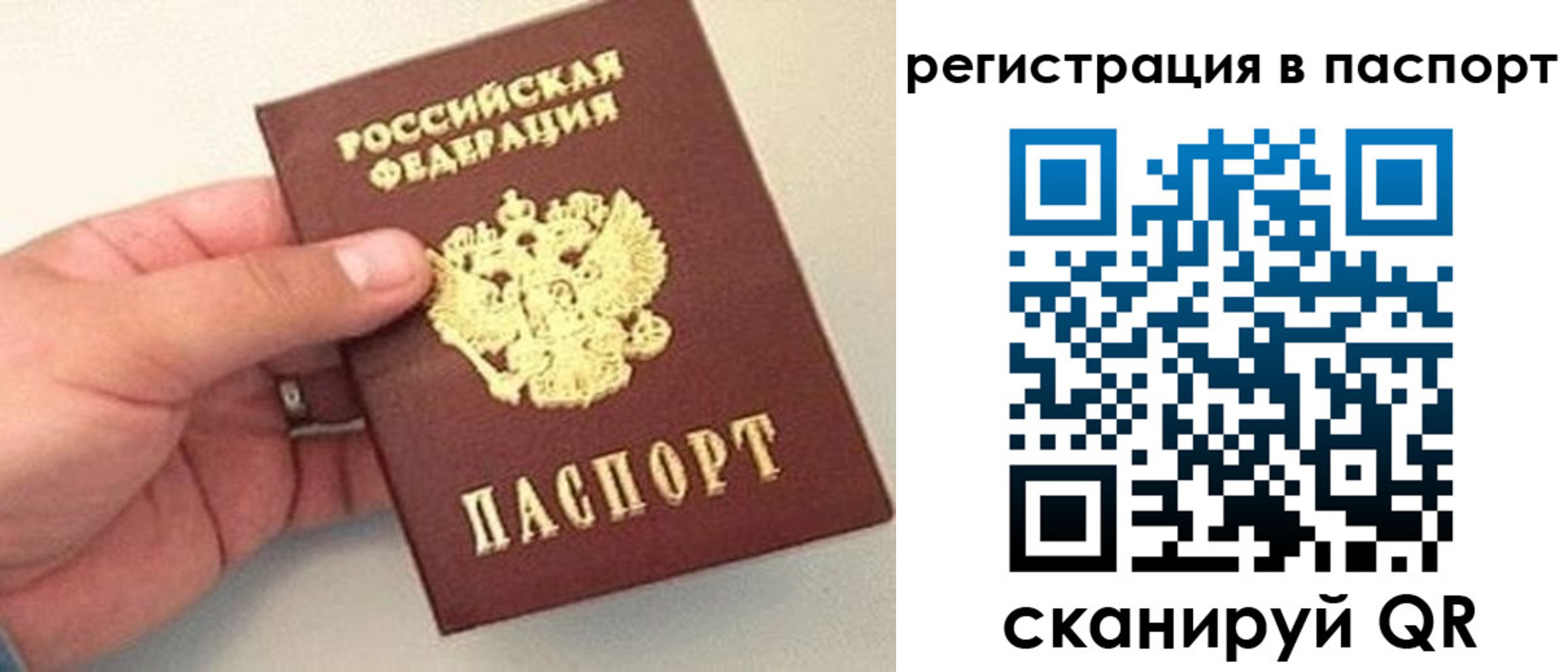 прописка законно в Балашихе